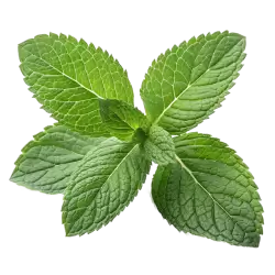 Imagen PNG para descargar